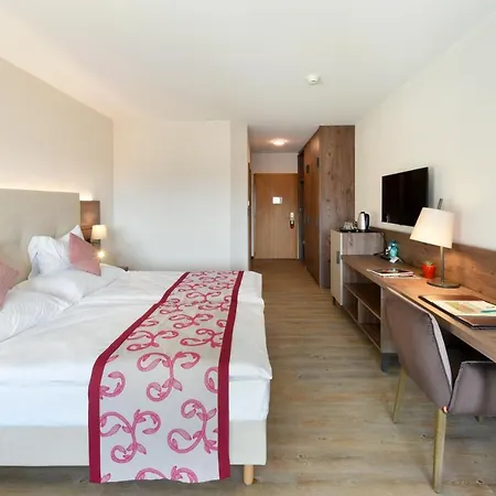 Hotel Des Vignes Saint-Léonard