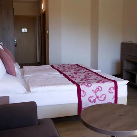 Des Vignes 4* Saint-Léonard