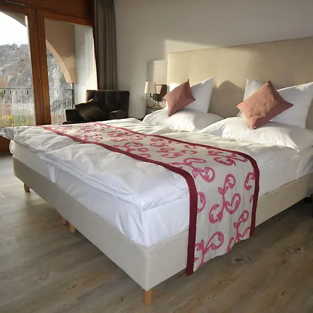 Hotell Des Vignes Saint-Léonard