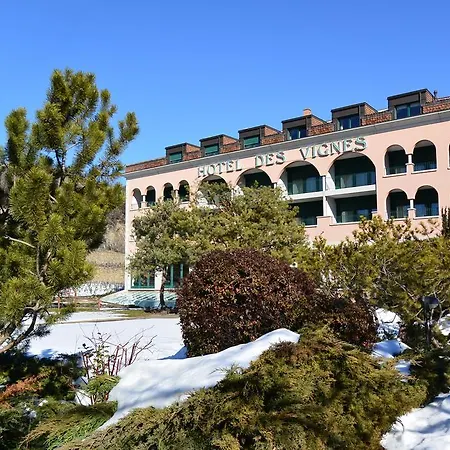 Hotel Des Vignes 4*
