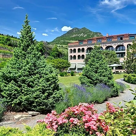 Hotel Des Vignes 4*