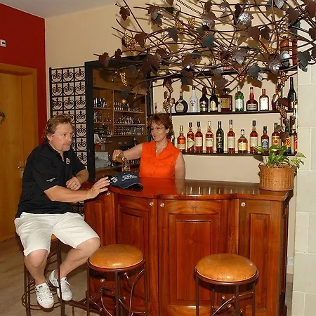 Des Vignes Otel Saint-Léonard