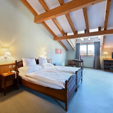 Des Vignes Otel 4*