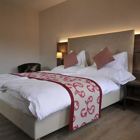 Otel Des Vignes 4*