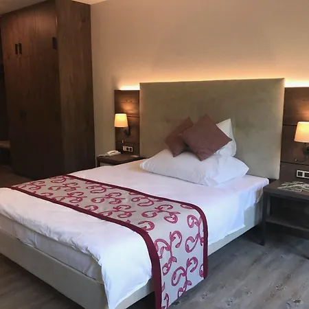 Otel Des Vignes 4*
