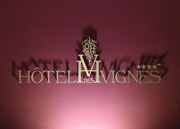 Des Vignes Saint-Léonard