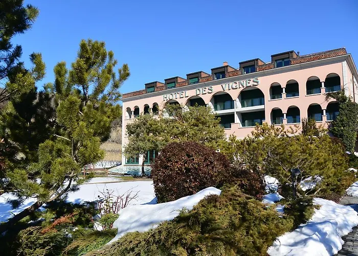 Hotell Des Vignes 4*