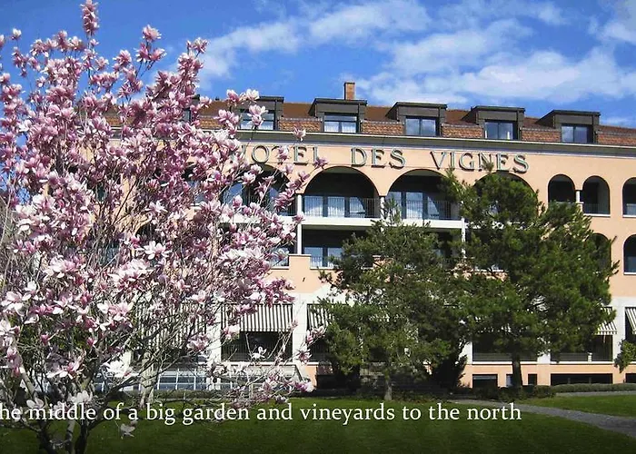 Hotell Des Vignes 4*