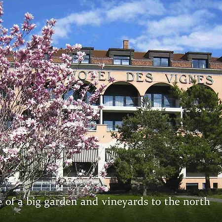 Отель Des Vignes 4*