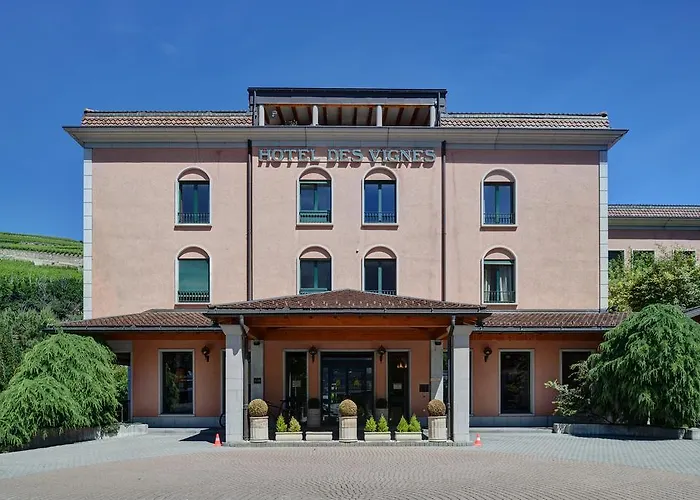 Hotel Des Vignes